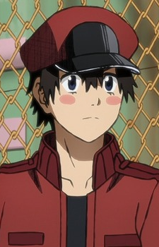 Еритроцит NC8429