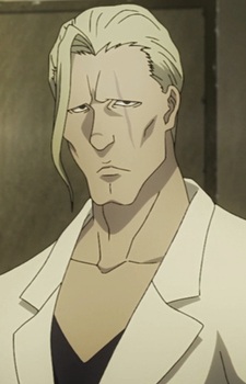 Ідера, Шоусі