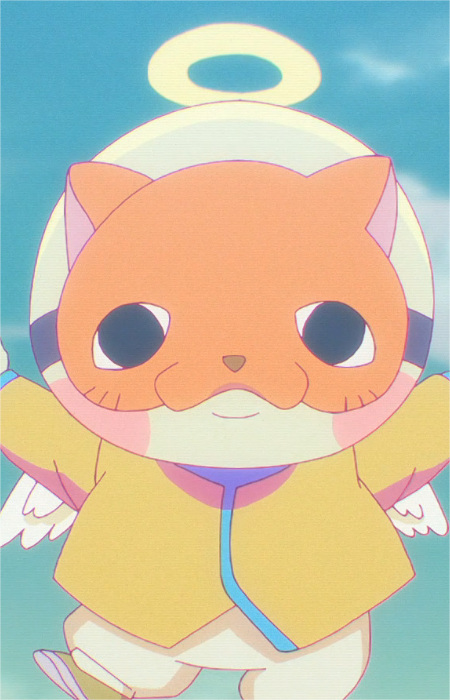 Кішка Мііпу