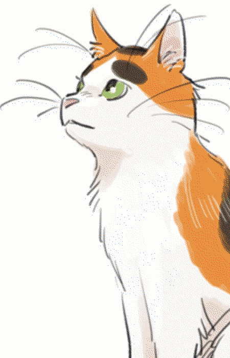 Ооїші Бучіо