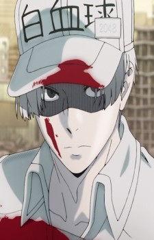 Лейкоцит 2048