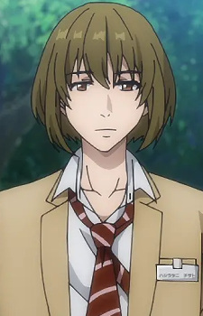 Хашіратані, Чісато