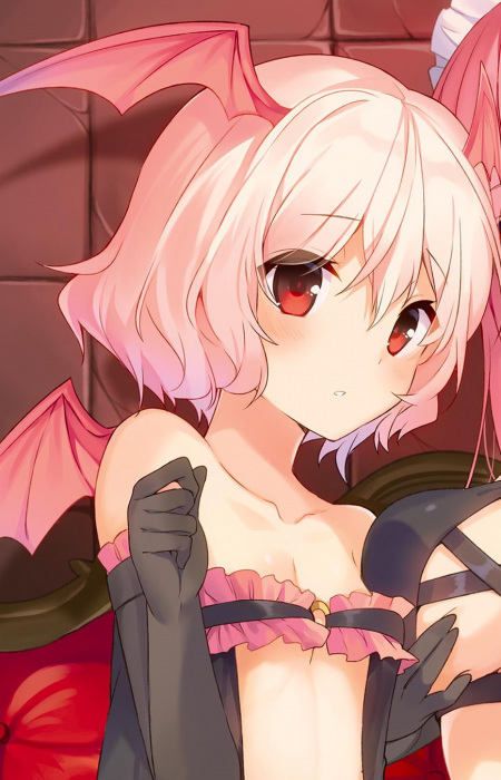 Новачок Суккуб