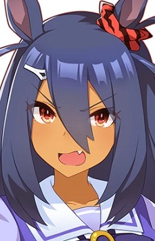 Ніші Амазон