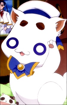 Покотенг, Арія