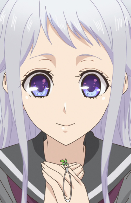 Тачібана, Сара