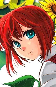 Хаторі Чісе