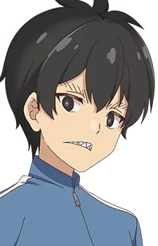 Ігарасі, Шоута