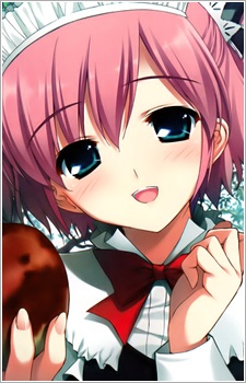 Коміне, Сачі