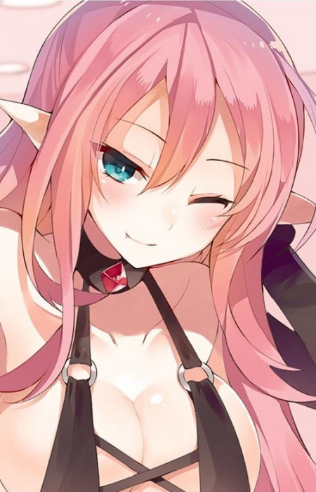 Суккуб-реєстраторка